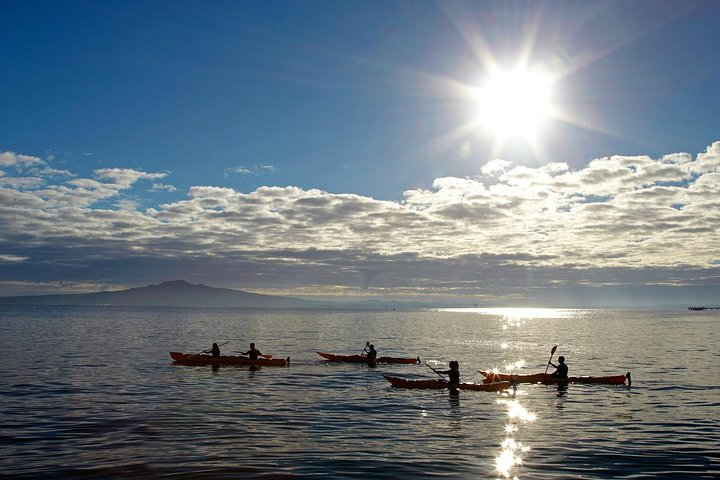 Sea Kayaking in Auckland